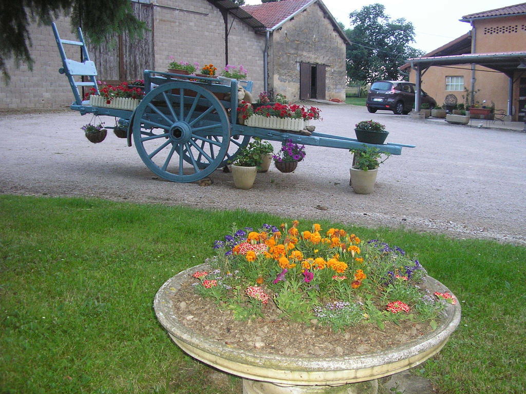 Domaine De La Belliere Ξενοδοχείο Villars-les-Dombes Εξωτερικό φωτογραφία