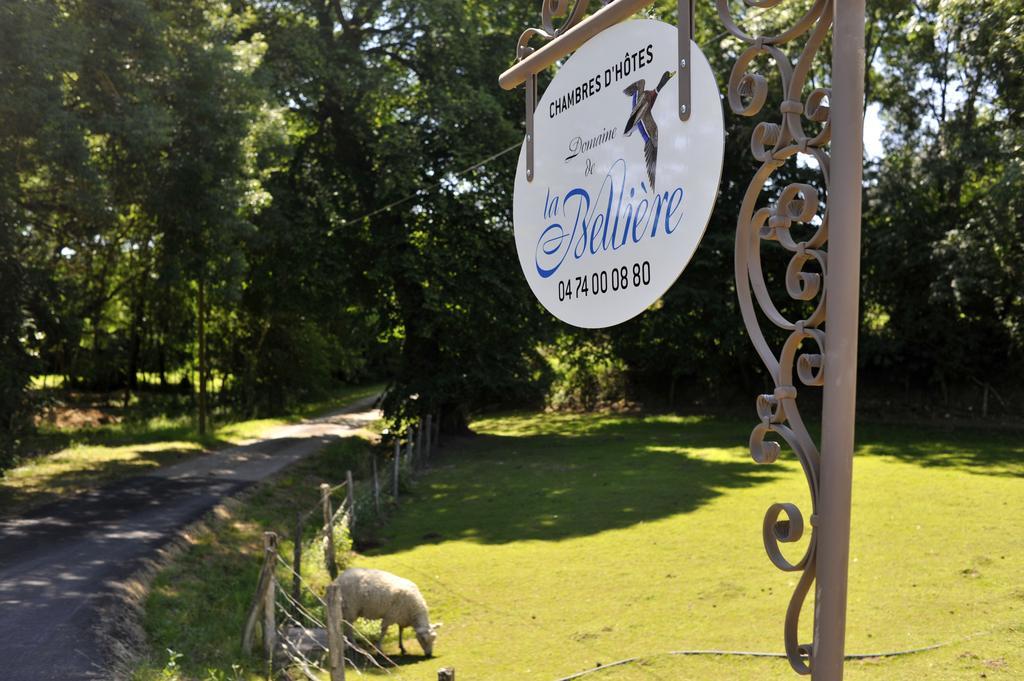 Domaine De La Belliere Ξενοδοχείο Villars-les-Dombes Εξωτερικό φωτογραφία