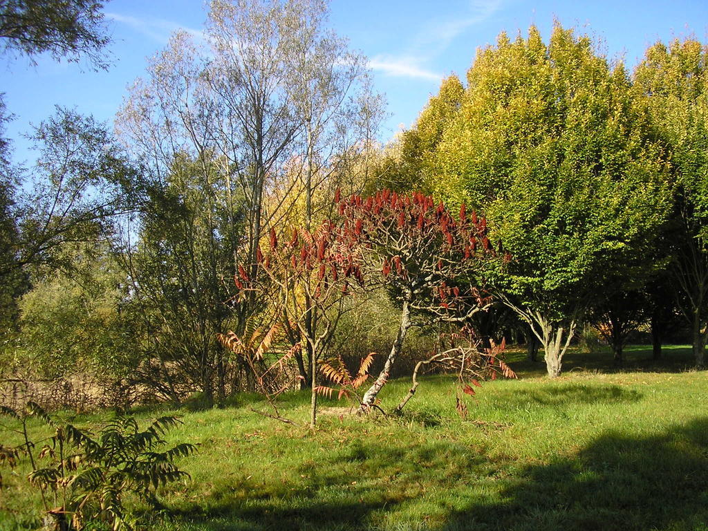Domaine De La Belliere Ξενοδοχείο Villars-les-Dombes Εξωτερικό φωτογραφία